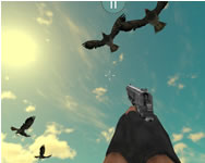 Chicken and crow shoot webgl ingyen játék