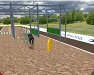 Dog racing simulator online